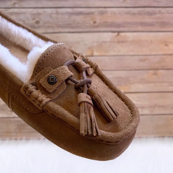 UGG Litney Chestnut Slipper For Outdoor/Indoor Use - Picture 2 of 8